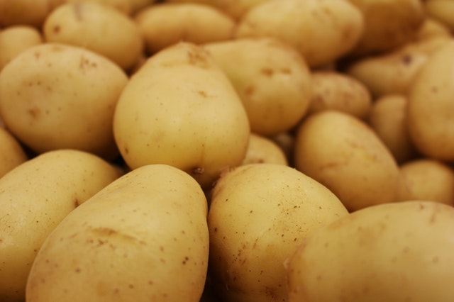 Je bekijkt nu Wat houdt kiemremming aardappelen in?