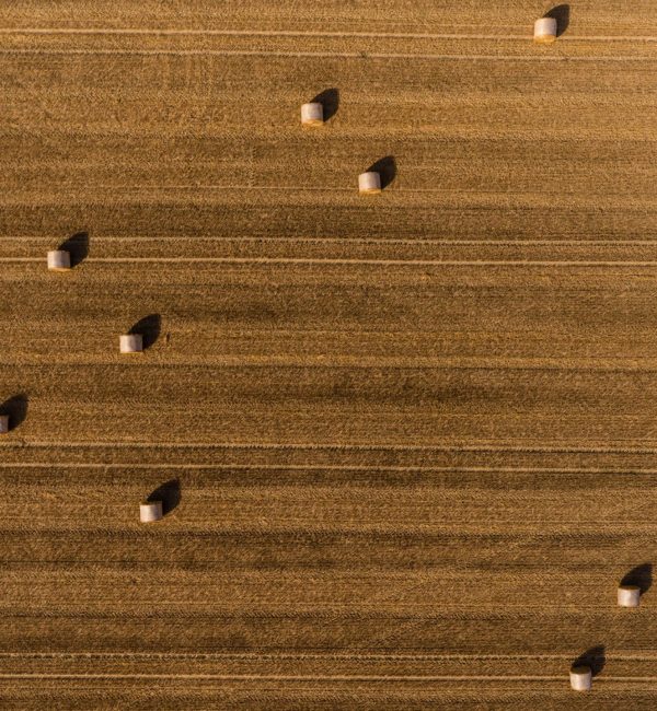 jean-wimmerlin-dMJFea0vumY-unsplash