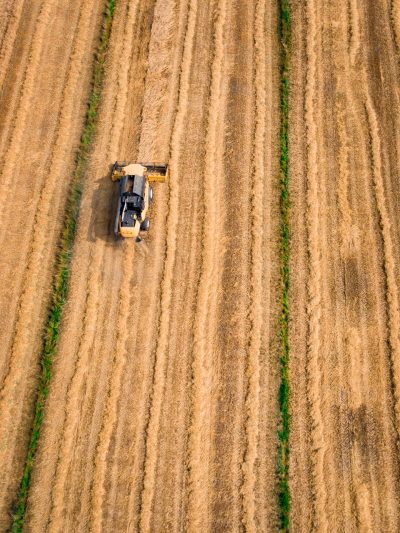 kees-streefkerk-8yHxJV5PPsA-unsplash